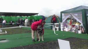 Моншер Вирсаль Манхэттен