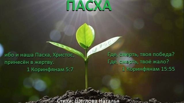 Пасха