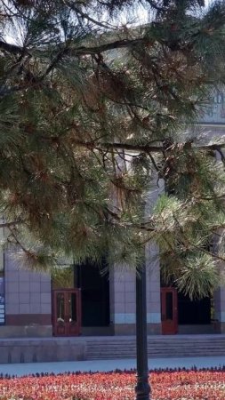 Утро Алматы. 23.06.2025.