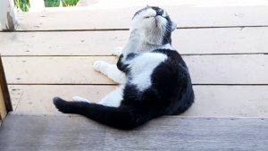lv_0_20250623142043_001 Пыль смахнул и опять красивый