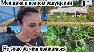 МОЯ ДАЧА ТАК ЗАПУЩЕНА ЧТО Я НЕ ЗНАЮ ЗА ЧТО ХВАТАТЬСЯ/УБОРКА ДАЧНОГО УЧАСТКА/МОЯ ЗАБРОШЕННАЯ ДАЧА