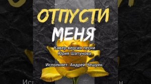 'ОТПУСТИ МЕНЯ (кавер Ю. Шатунова, Андрей Чешуин)
