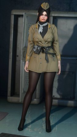 Форма Анклава. Fallout 4.