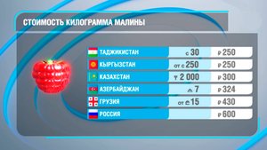 Стоимость малины в странах СНГ и Грузии