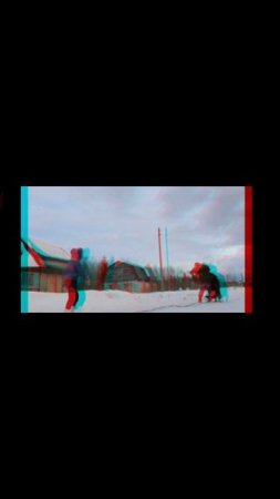 преданность собаки, является результатом хорошей дрессировки