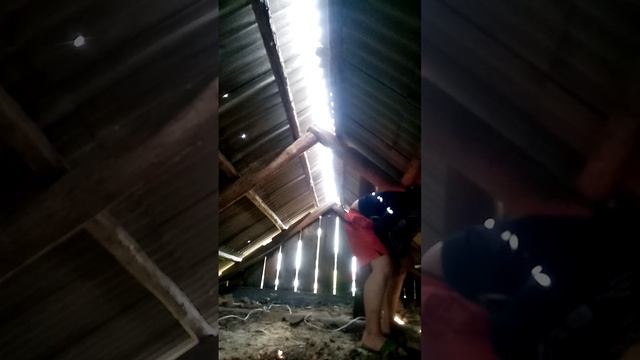 VID_20250623_131536.3gp