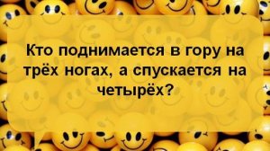 Анекдоты дня: веселые истории, которые заставят вас смеяться! Подборка только смешных Анекдотов!