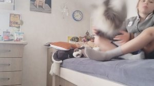 24 часа на кровати челендж