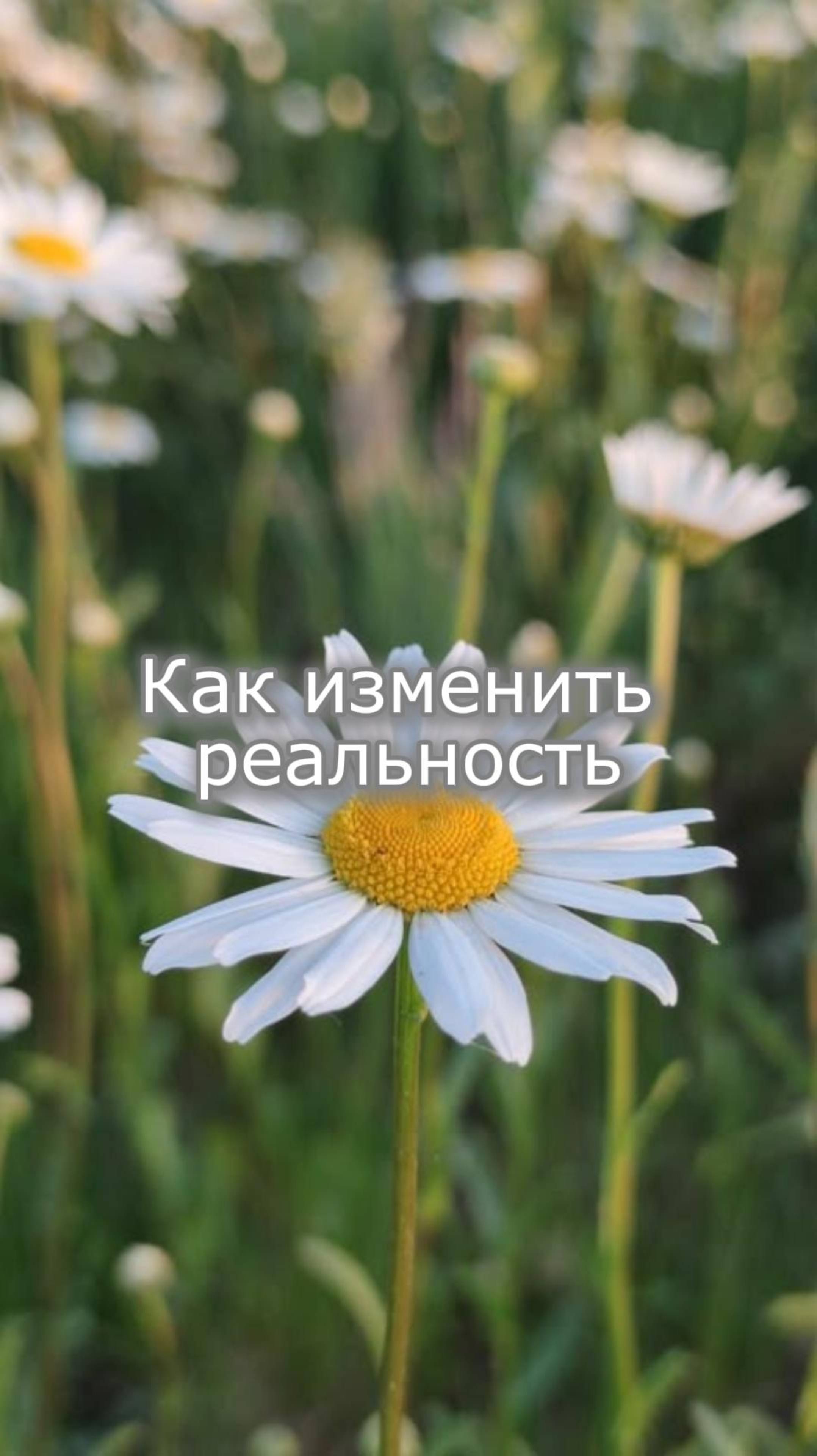 Как изменить реальность