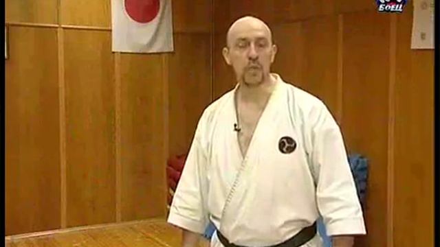 Каратэ годзю рю Тодэ смотреть онлайн