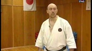 Каратэ годзю рю Тодэ