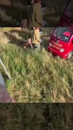 На Олега Зубкова,владельца крымского парка Тайган напали львы и прокусили ему горло