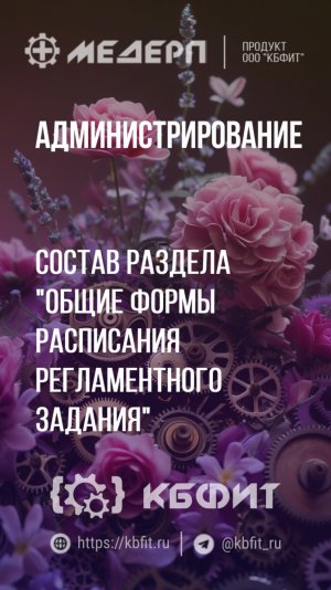 КБФИТ: МЕДЕРП. Администрирование: Состав раздела "Общие" формы расписания регламентного задания