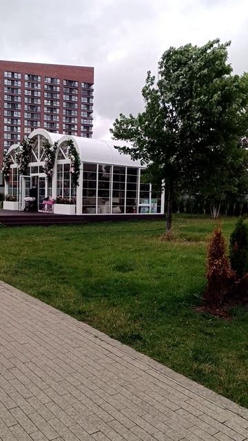 парк Ходынское поле. Ходынский бульвар. Москва 19.06.2025 (16:24). м.ЦСКА
