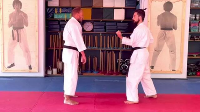 Каратэ Seiyunchin Bunkai_ Basic and Advanced for Goju Ryu смотреть онлайн