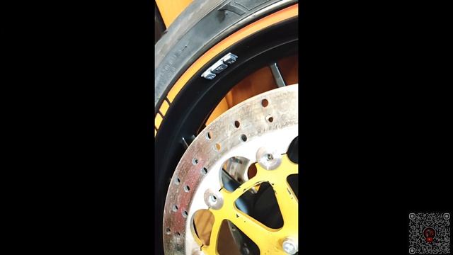Водные процедуры колес белки (Benelli 600)