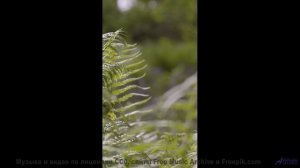 Кадры, которые заставят вас плакать от осознания! - All For Nothing -- Anthem of Rain -- Freedom