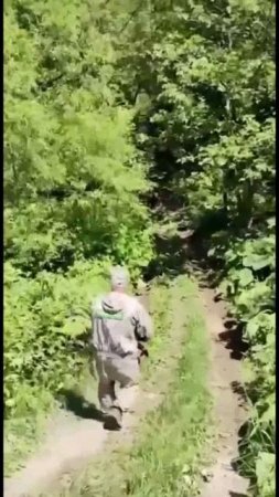 Медведь напал на людей на Сахалине,двое погибших,несколько пострадавших