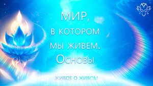 Мир, в котором мы живем. Основы