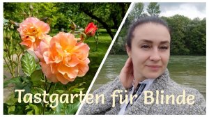 Сад Роз в Германии. Прогулка по Розенгартен, река Изар.