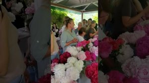 Лекция «Пионы на срезку: лучшие сорта»