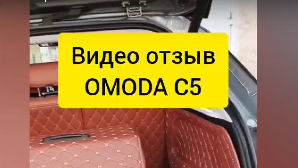 OMODA c5 отзыв 3D коврики из экокожи