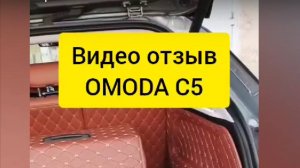OMODA c5 отзыв 3D коврики из экокожи