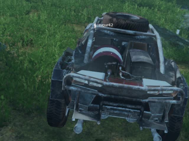 DayZ