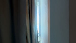 LONICERA RESORT & SPA 5*.  Турция(Анталья)