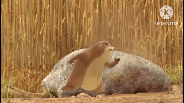 Gopher Broke Don't Disturb me From Sleeping 3 смотреть онлайн