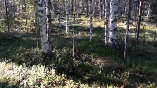 Рыбалка и отдых в Карелии _ Полное погружение в атмосферу