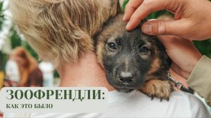 Добрейший фестиваль «ЗООФРЕНДЛИ» в МЕГЕ: как это было