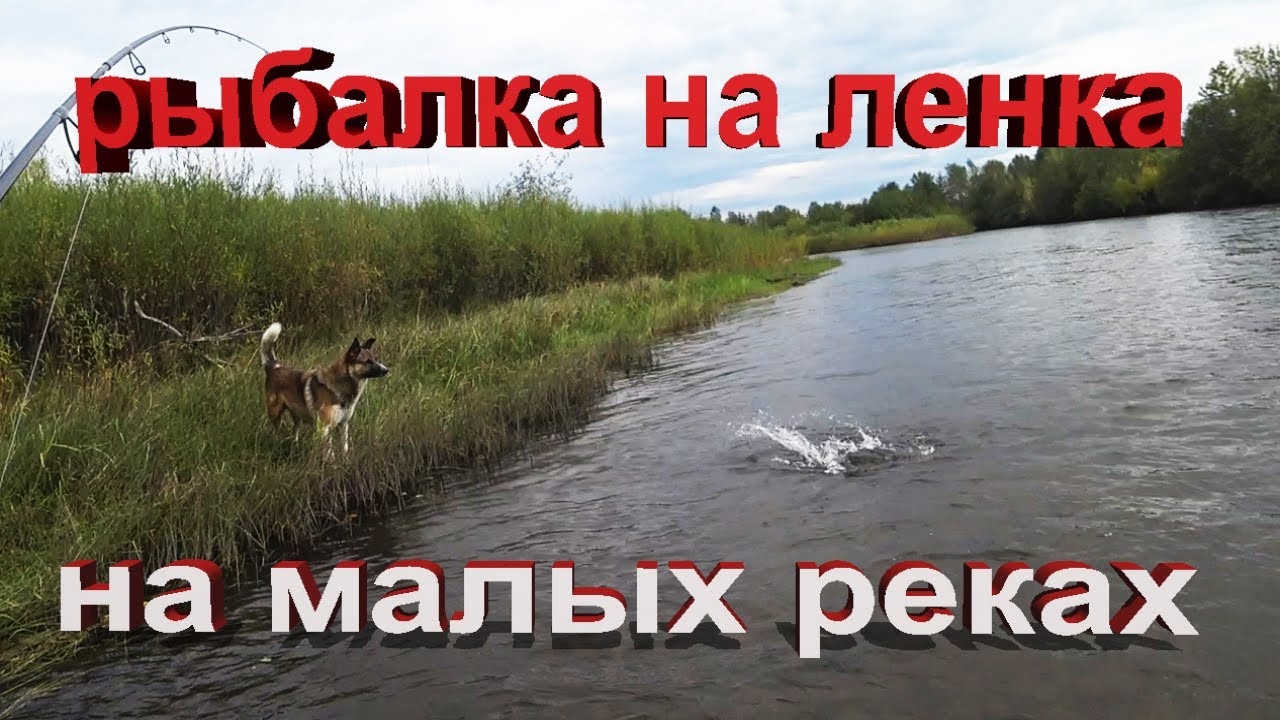Рыбалка на реке.