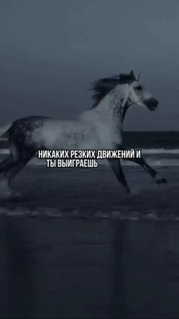 6 трюков психологии для более успешной жизни ✅