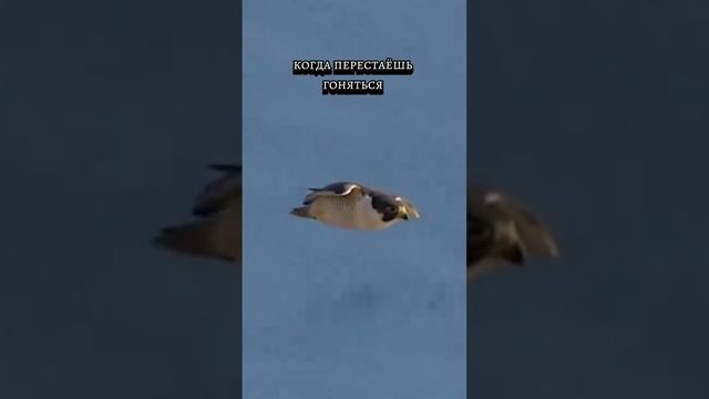 тенденции дня