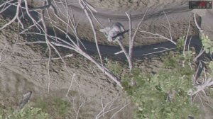 FPV Kamikadze drone - 1