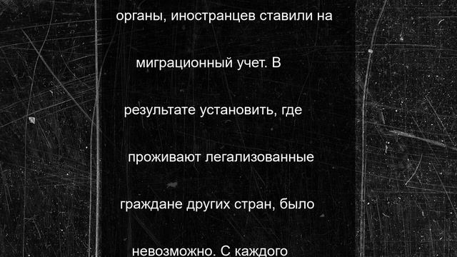 Два жителя Выборгского района занимались организацией незаконной миграции