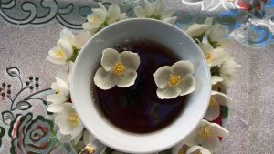 ЦЕЛЕБНЫЙ ЧАЙ из садового жасмина (чубушника). Жасмин или чубушник?