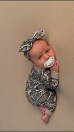 Кто родился в год Змеи