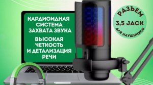 Микрофон конденсаторный на пантографе