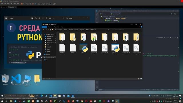 programnyy pomoshchnik python не найден