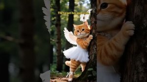 Котэ