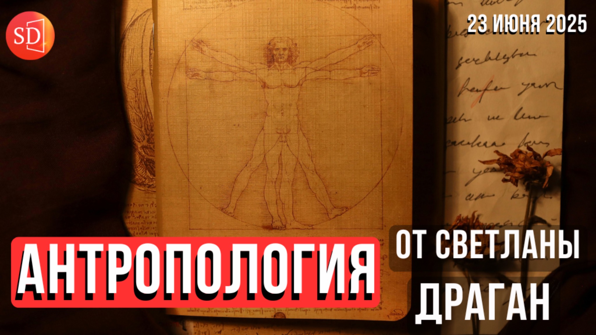 АНТРОПОЛОГИЯ от Светланы Драган