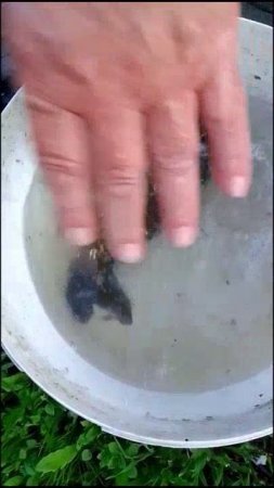 Обычное воскресенье! 🥰 Мишаня в помощь! 🤪