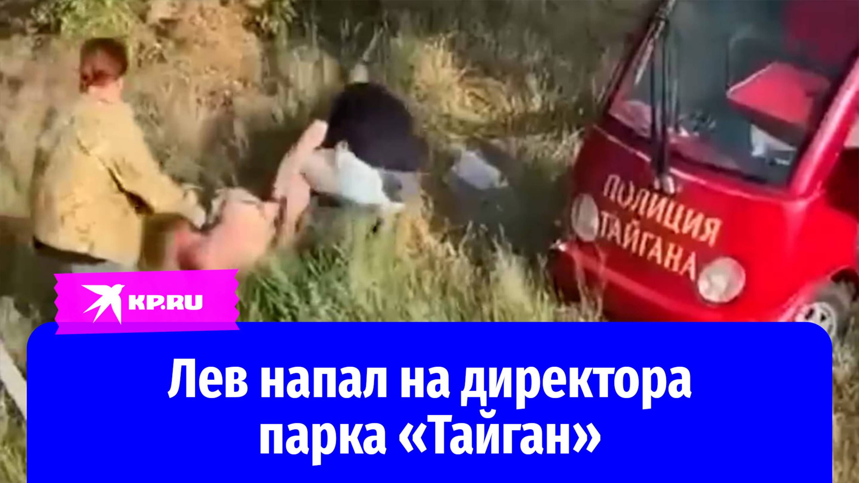 Директор парка «Тайган» Олег Зубков потерял сознание после нападения льва в Крыму