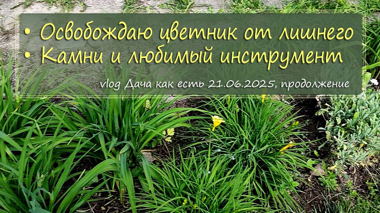 Освобождаю цветник от лишнего, что там растет и что будет / vlog дача как есть 21.06.2025, часть 2