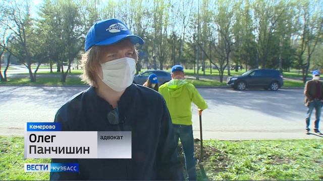 Работники коллегии адвокатов «Регионсервис» высадили яблоневую аллею в городе Кемерово