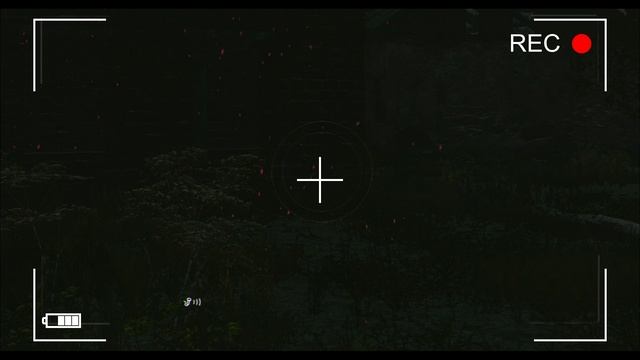 Поле 1