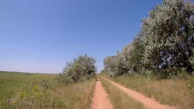 От сада № 15 к озеру Круглое.😊