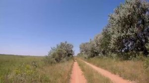 От сада № 15 к озеру Круглое.😊